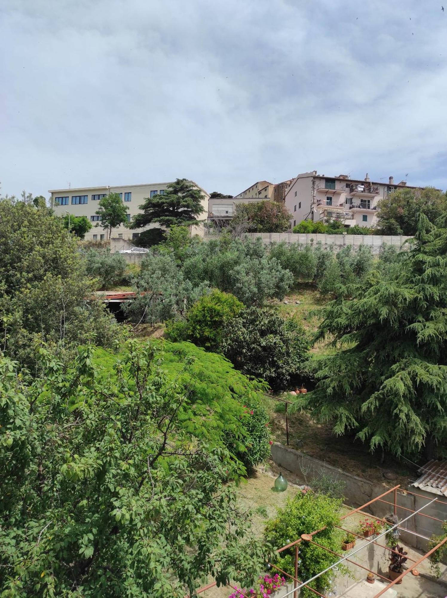 Casa Dei Nonni 57021 Διαμέρισμα Campiglia Marittima Εξωτερικό φωτογραφία